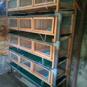 Clapiers (Loge)